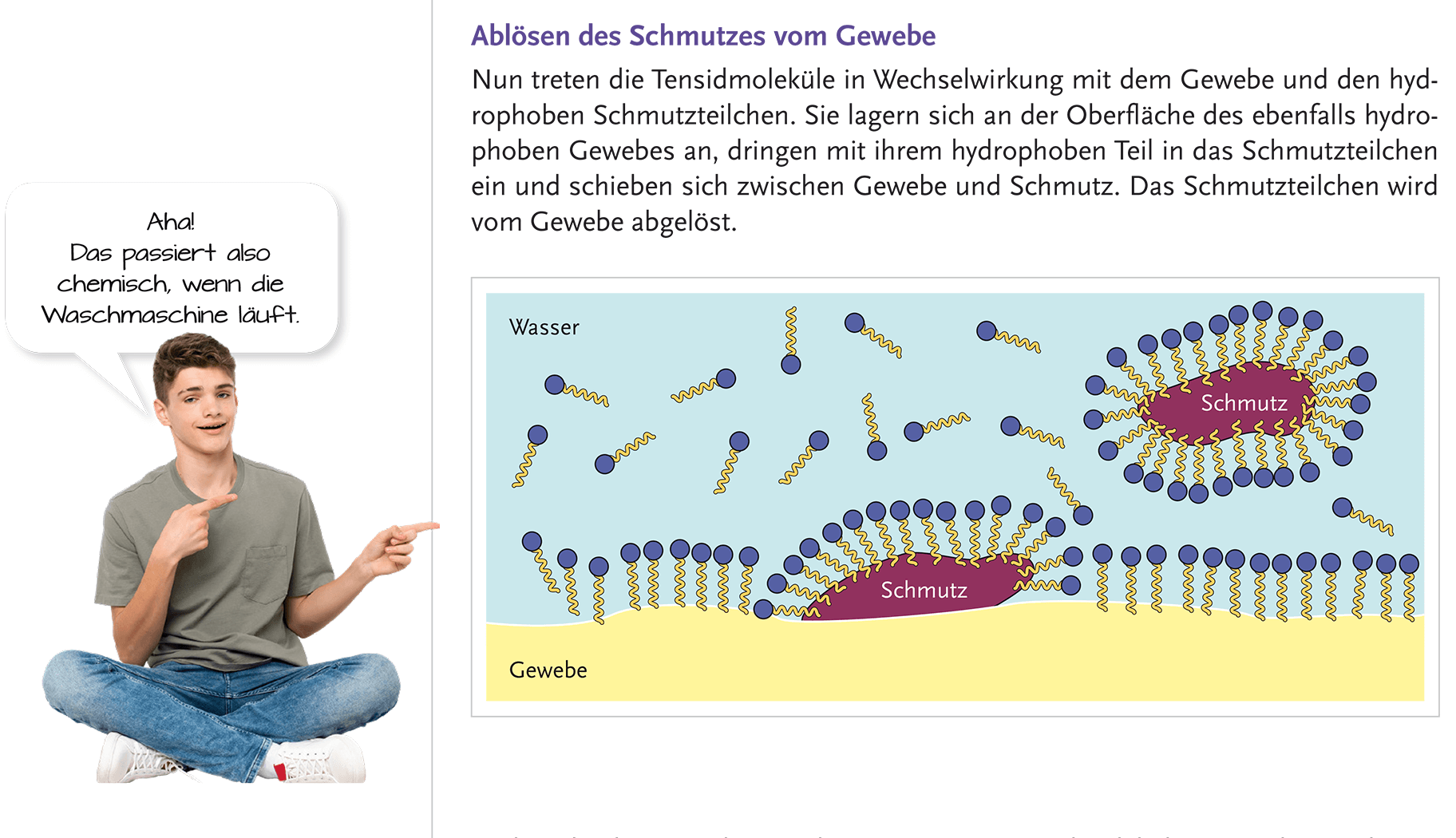 Klar, anschaulich, einprägsam!
