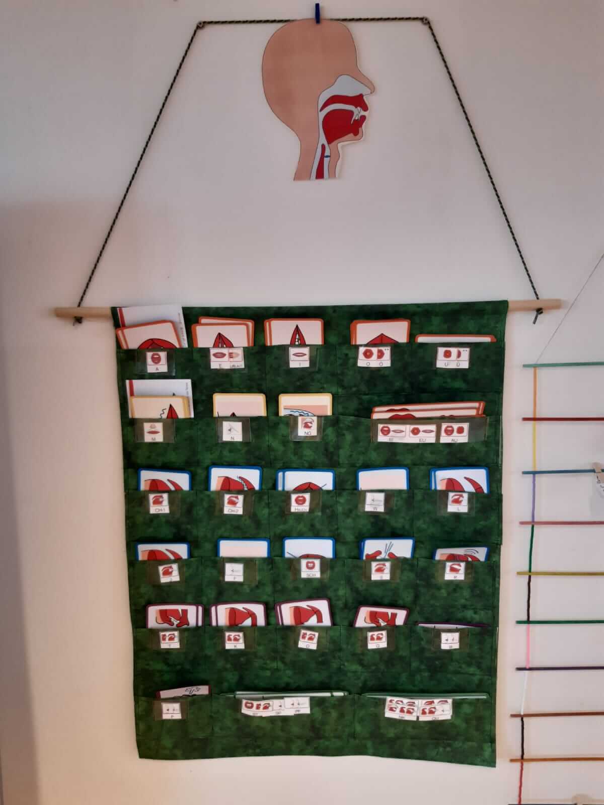 Praktische Aufhängung der magnetischen Mundbilder für die Tafel